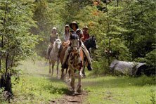 passeio a cavalo